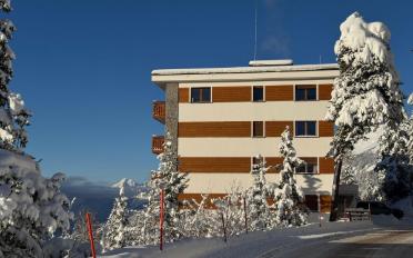 Wohnung 2.5 Zimmer - image - 13