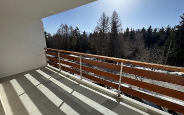 Furnished flat 2.5 rooms - image - 2