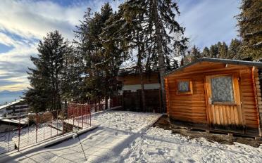 Chalet 7.5 Zimmer - image - 12