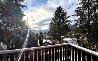 Chalet 7.5 Zimmer - image - 1