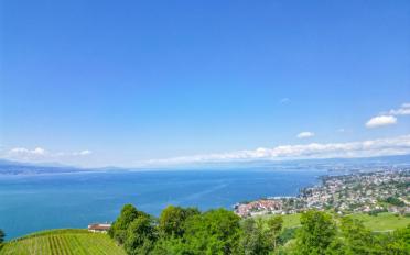 Villa 5.5 Zimmer - image - 5