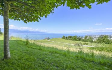 Villa 5.5 rooms - image - 3