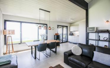 Wohnung 2.5 Zimmer - image - 1