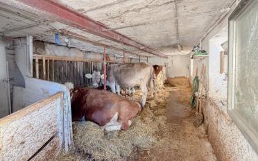 Bauernhaus - image - 8