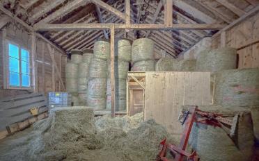 Bauernhaus - image - 5