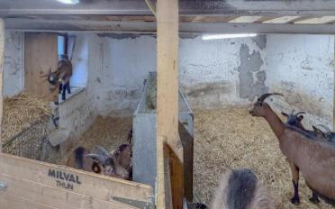 Bauernhaus - image - 9