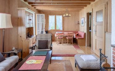 Chalet 4 Zimmer - image - 7