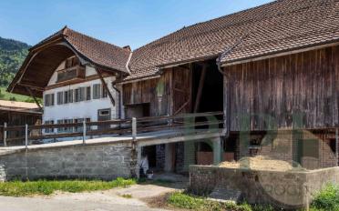 Farm house - image - 4