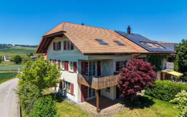 Doppeleinfamilienhaus 4.5 Zimmer - image - 1