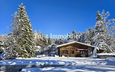 Chalet 8.5 pièces - image - 1