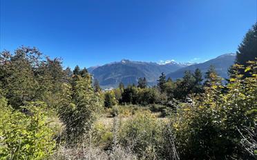 Agrarland - image - 2