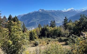 Agrarland - image - 3