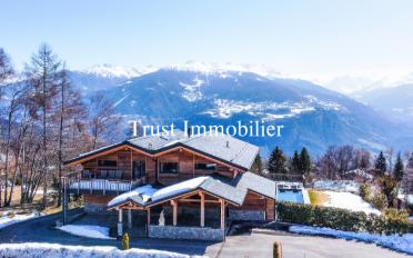 Chalet 7.5 pièces - image - 3