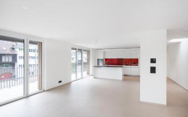 Attique 5.5 pièces - image - 3