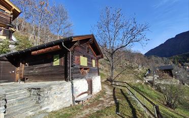 Chalet 3 rooms - image - 1