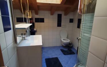 Single house 5.5 rooms - image - 8