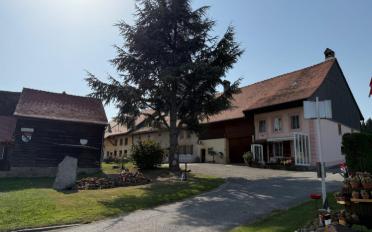 Maison contiguë - image - 1