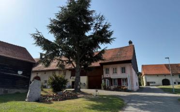 Maison contiguë - image - 2