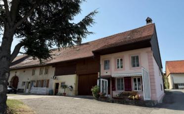 Maison contiguë - image - 4