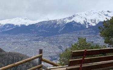 Wohnung 3.5 Zimmer - image - 1