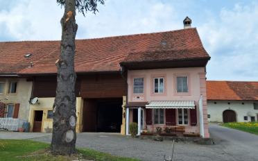 Farm house 14 rooms - image - 2