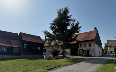 Reihenfamilienhaus 7 Zimmer - image - 2