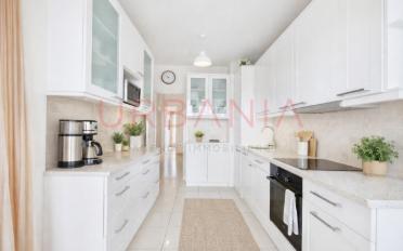 Wohnung 4 Zimmer - image - 5