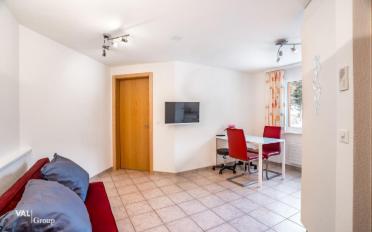 Wohnung 2.5 Zimmer - image - 3