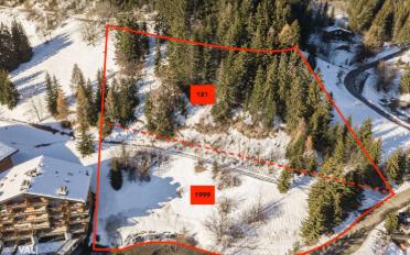 Building land - image - 1