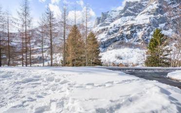 Apartment 2.5 rooms - image - 11