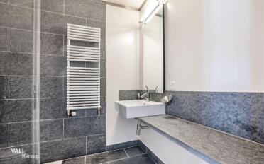 Attic flat 5.5 rooms - image - 11