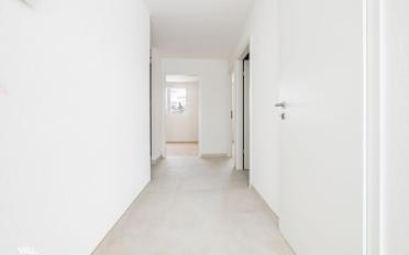 Appartement 3.5 pièces - image - 4