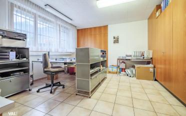 Single house 9.5 rooms - image - 13