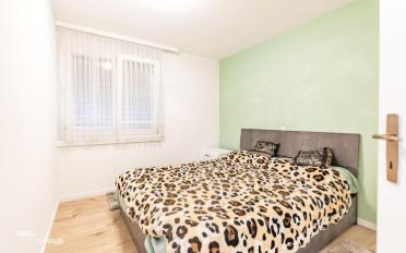 Apartment 2.5 rooms - image - 5