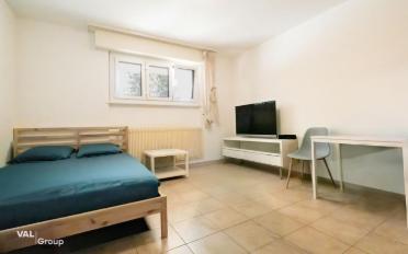 Wohnung 1.5 Zimmer - image - 2