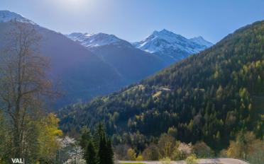 Bauland - image - 6