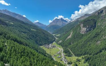 Wohnung 3.5 Zimmer - image - 12