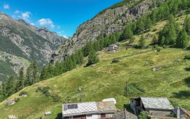 Wohnung 3.5 Zimmer - image - 13