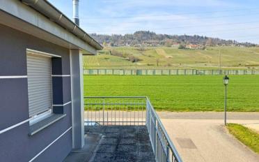 Bureau 2.5 pièces - image - 7