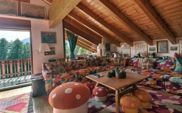 Attic flat 5.5 rooms - image - 8