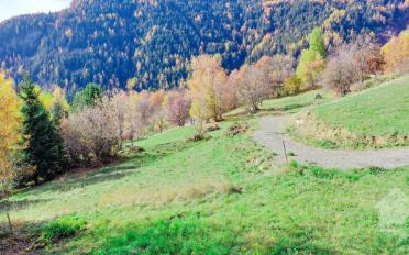Chalet 5.5 Zimmer - image - 1