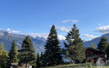 Chalet 5.5 rooms - image - 1