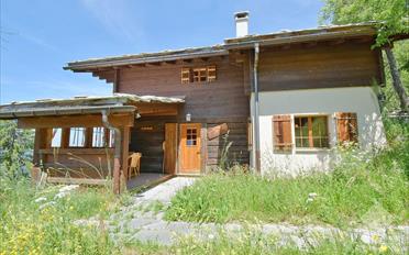 Chalet 3.5 pièces - image - 3