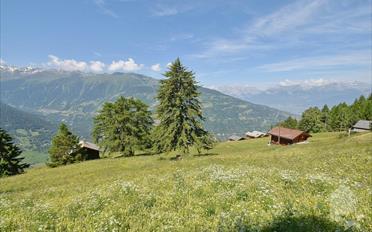Chalet 3.5 pièces - image - 8