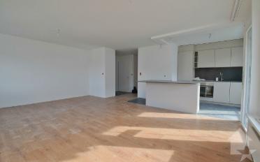 Wohnung 4.5 Zimmer - image - 5
