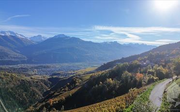 Bauland - image - 8