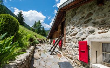 Chalet 3.5 pièces - image - 4