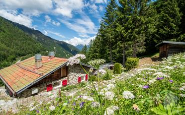 Chalet 3.5 pièces - image - 2