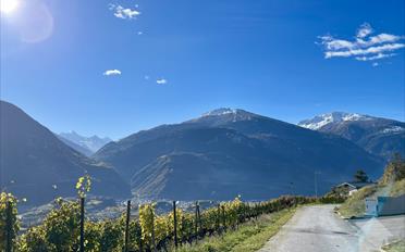 Row house 4.5 rooms - image - 8