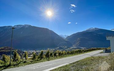 Residential building 9 rooms - image - 6